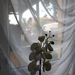 - Alloggio in famiglia *