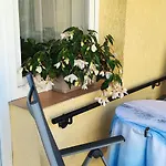 Alloggio in famiglia - *