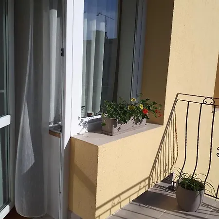 ホームステイ -