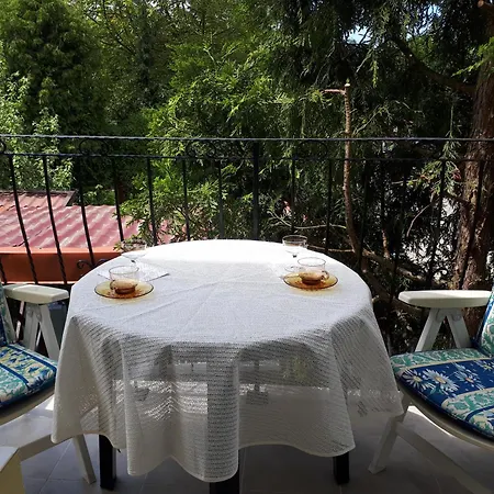 - 홈스테이 우스트카